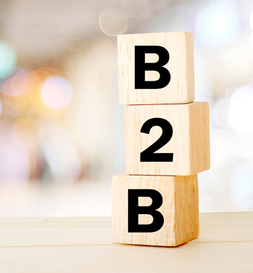 Desarrollo de plataformas B2B para empresas